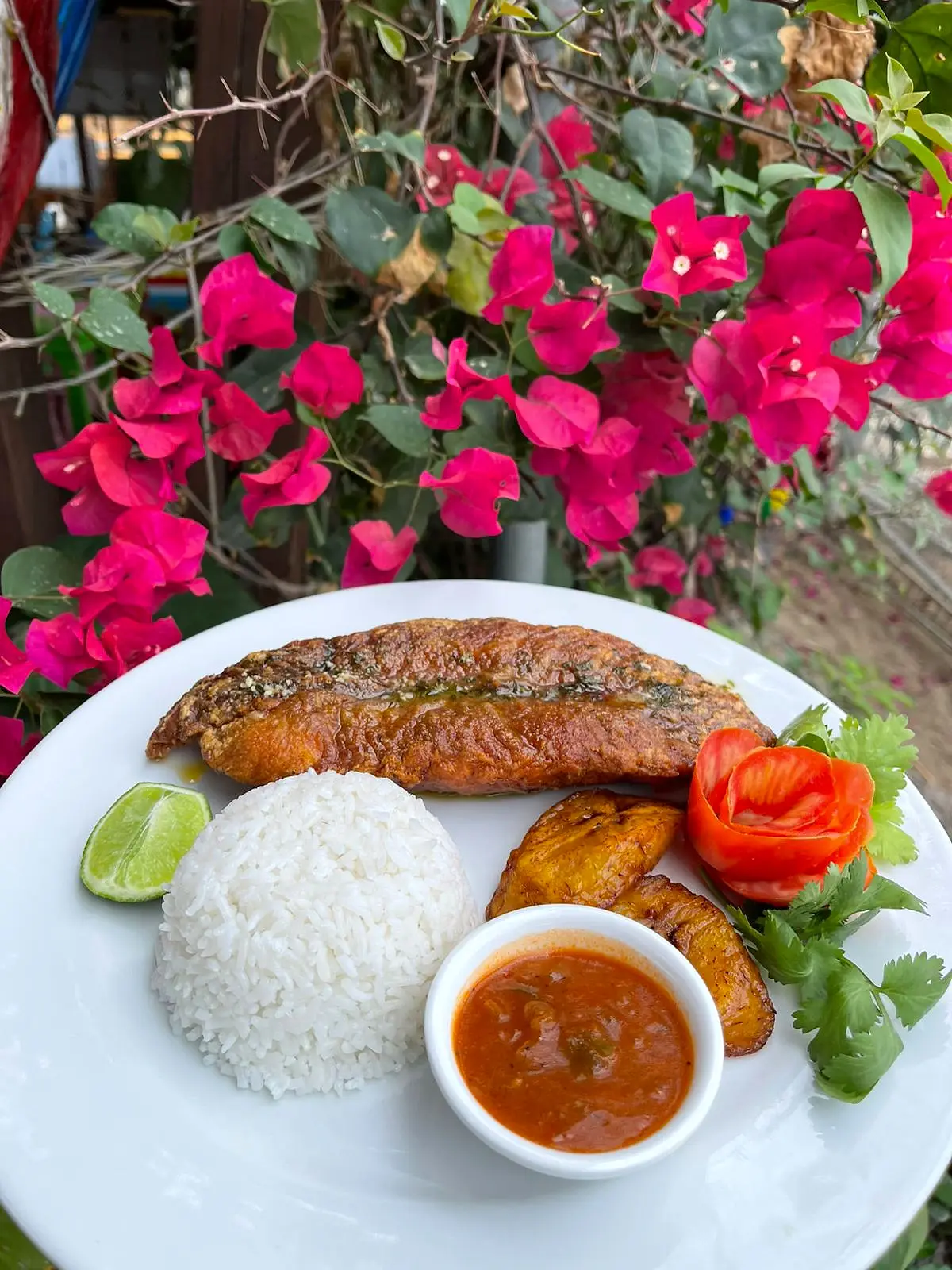Grilled fish with white rice and fried plantain among bougainvillea flowers