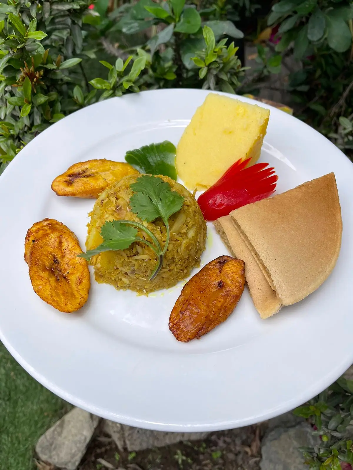 Plate with seasoned rice, fried plantain, cheese and bread
