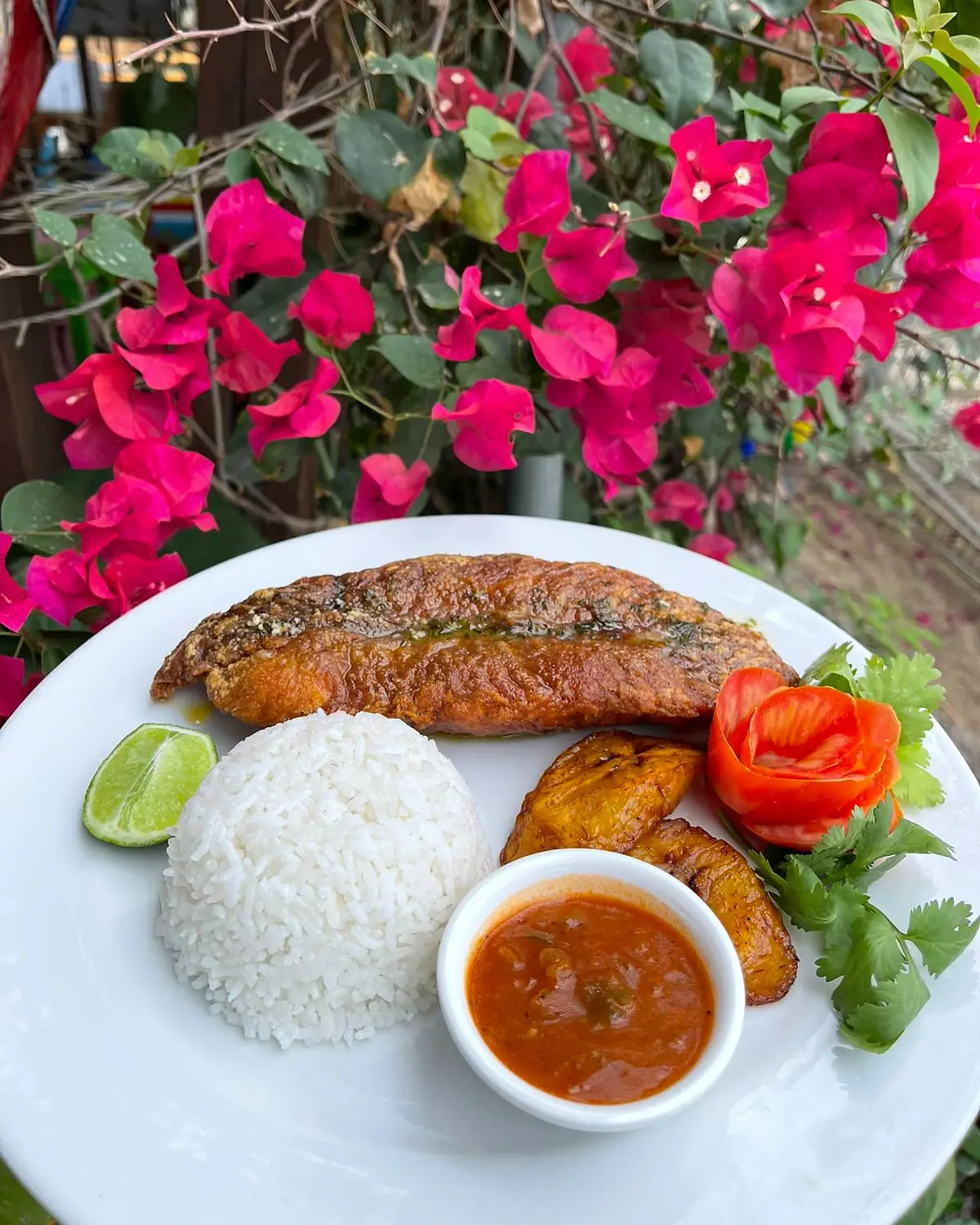 A dish served at Mi Dushi Casibari